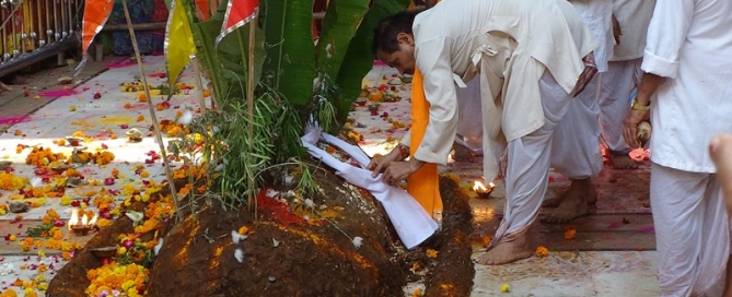 Goverdhan Pooja Shri Dwarkadhish Ji Maharaj