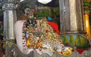 Yogal Jodi Darshan Shri Dwarkadhish Ji Maharaj