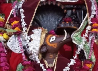 Adi Varah Bhagwan Temple Timing Mathura Adi Varah Bhagwan Temple Mathura