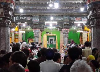 Varuthini Ekadashi Vrat Katha shri Dwarkadhish Maharaj Darshan Mathura