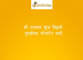 Shri Radha Var Kunj Bihari Bhajan: Shri Radha Var Kunj Bihari