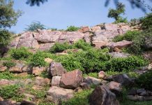 Dandavat Govardhan Parikrama Darshan Govardhan Parikrama Marg Govardhan Parvat