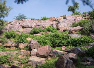 Dandavat Govardhan Parikrama Darshan Govardhan Parikrama Marg Govardhan Parvat