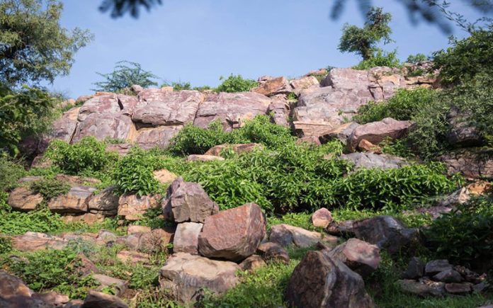 Govardhan Parikrama Marg Govardhan Parvat