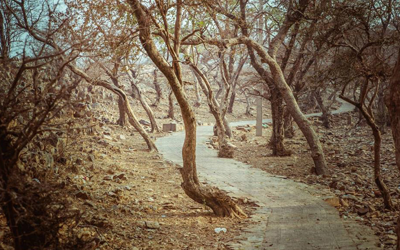 Barsana Parikrama Marg