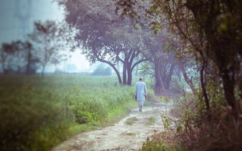 Barsana Parikrama Marg