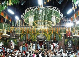 Banke Bihari Ji Ka Prem Hariyali Teej Darshan Shri Banke Bihari Ji Darshan Vrindavan