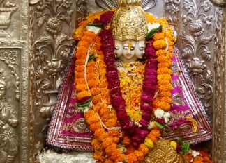 Maa Mansa Devi Maa Mansa Devi