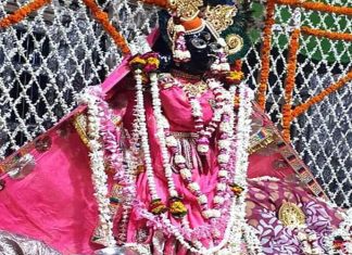 Shri Banke Bihari Ji Pushp Evan Pushp Haar Seva Shri Banke Bihari Ji Pushp Evan Pushp Haar Seva