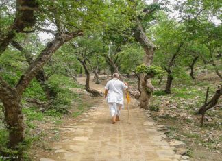 Dhany Hai Shree Vrindavan Dhany Hai Shree Vrindavan