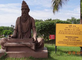Ayurveda Ke Father Maharishi Charaka Ayurveda Ke Father Maharishi Charaka