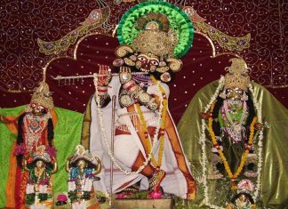 Kaise Padha Bhagwan Shri Krishna Ka Naam Damodar? Shri Radha Damodar Ji Darshan Vrindavan