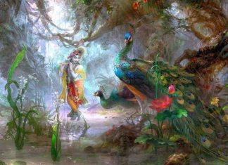 Shri Radhe Krishna Or Moor Shri Radhe Krishna Or Moor