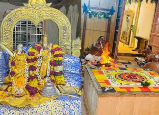 Shri Rangadev Ji Mandir Main Pavitrotsav Vrindavan Shri Rangadev Ji Mandir Main Pavitrotsav Vrindavan