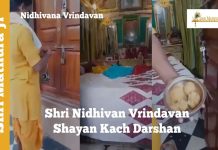 Shri Nidhivan Shayan Kach Darshan Vrindavan Shri Nidhivan Vrindavan Shayan Kach Darshan, Vrindavan