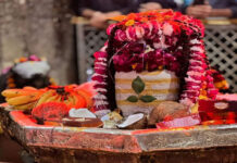 Chinta Haran Mahadev Temple Gokul Chinta Haran Mahadev Darshan Gokul