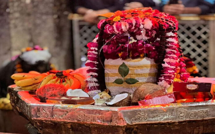 Chinta Haran Mahadev Darshan Gokul